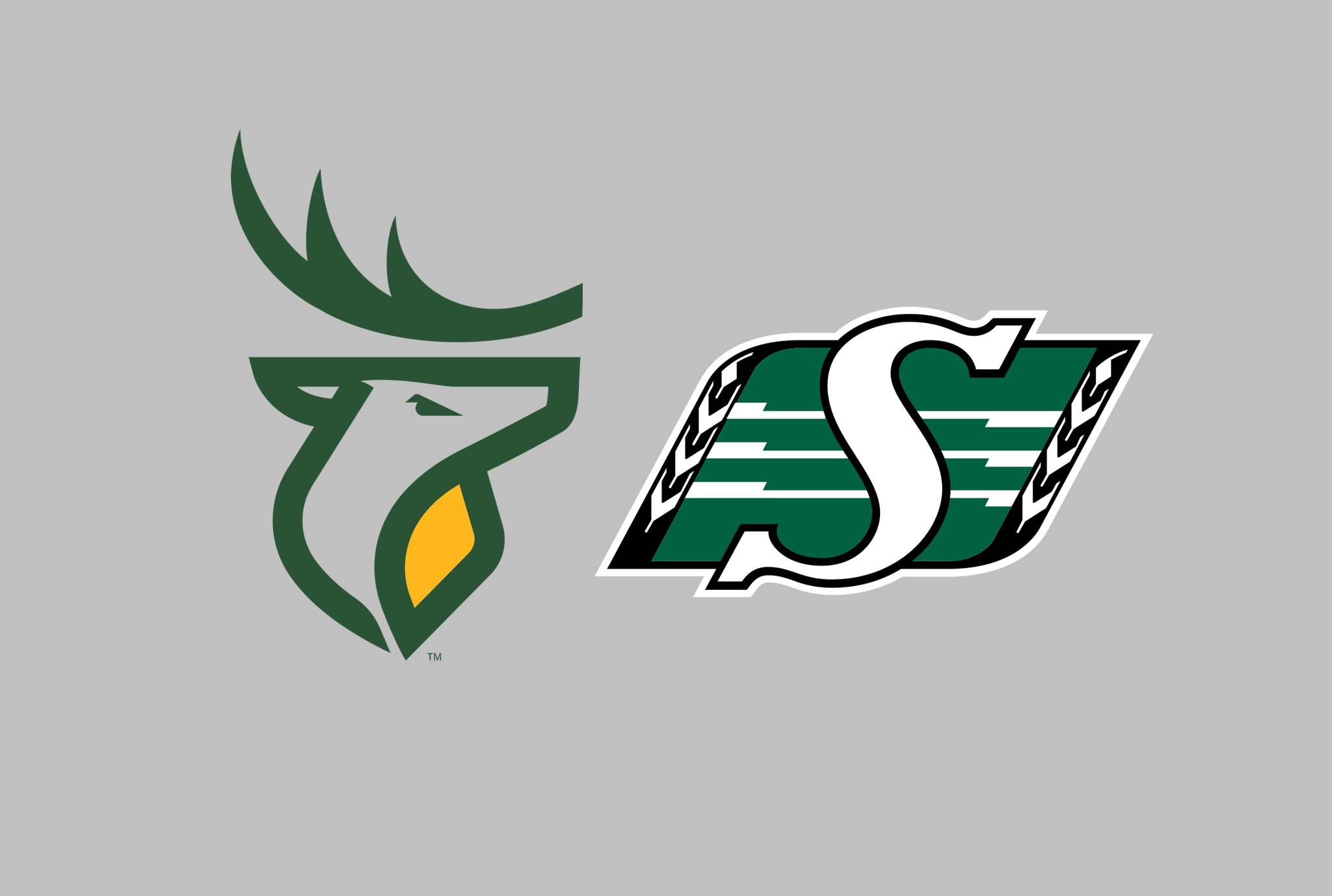 Edmonton Elks and Saskatchewan Roughriders Injury Report – BGMSportsTrax