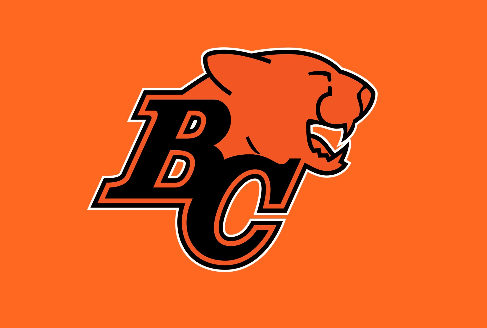 b-c-lions-sign-linebacker-john-petrishen-bgmsportstrax